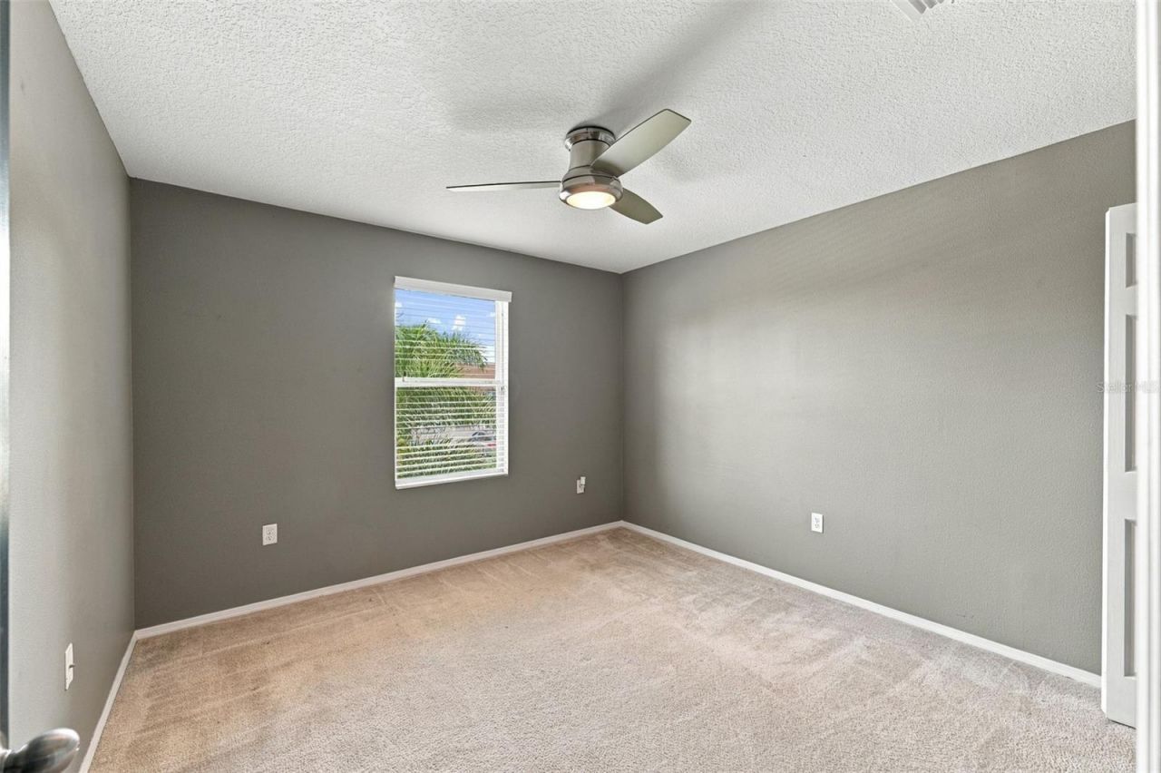 5213 Butterfly Shell Drive , Apollo Beach, FL 33572 Photo