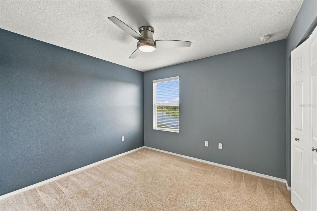 5213 Butterfly Shell Drive , Apollo Beach, FL 33572 Photo