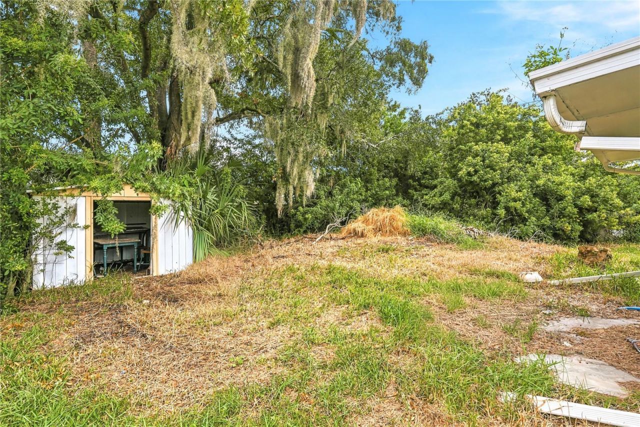 6639 Sandra Drive , Port Richey, FL 34668 Photo