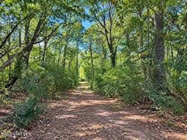 tbd Harpole Street, Maben, MS 39750