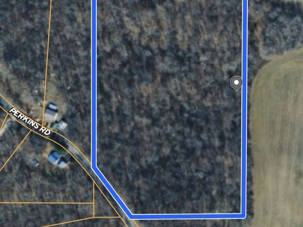 0 Perkins Rd, Puryear, TN 38251