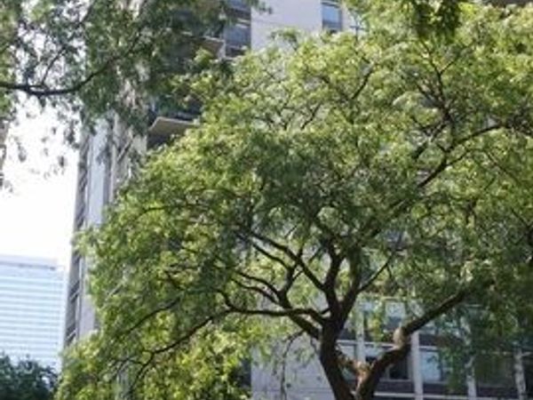 1360 N Sandburg Terrace , Unit 2002C, Chicago, IL 60610