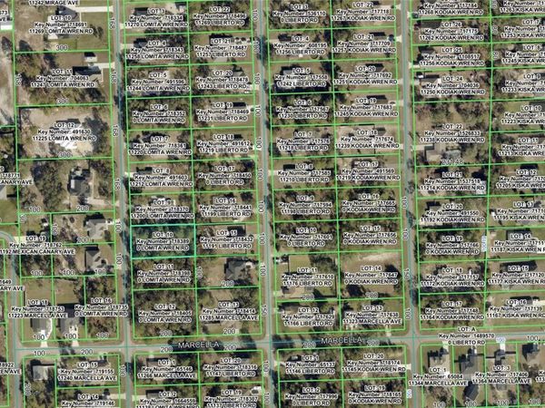 11192 LOMITA WREN ROAD , WEEKI WACHEE, FL 34614