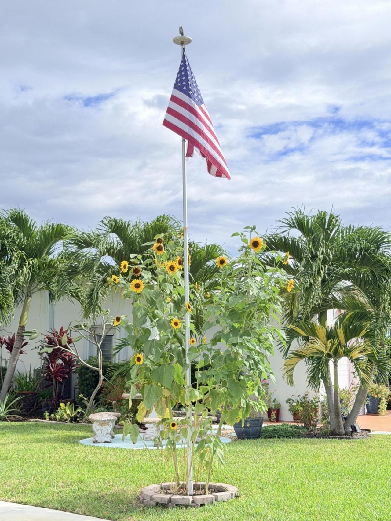 2851 E Golf Boulevard, Unit 207, Pompano Beach, FL 33064 Photo