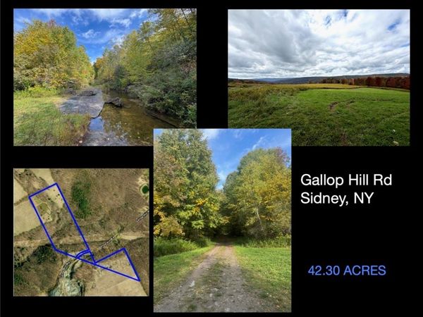 Gallop Hill Road , Sidney Center, NY 13838