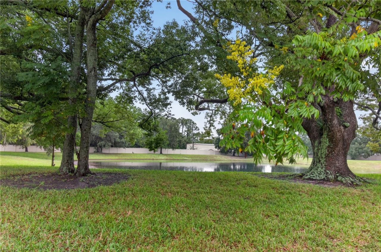 6176 Chesham Drive , Unit 8, New Port Richey, FL 34653 Photo