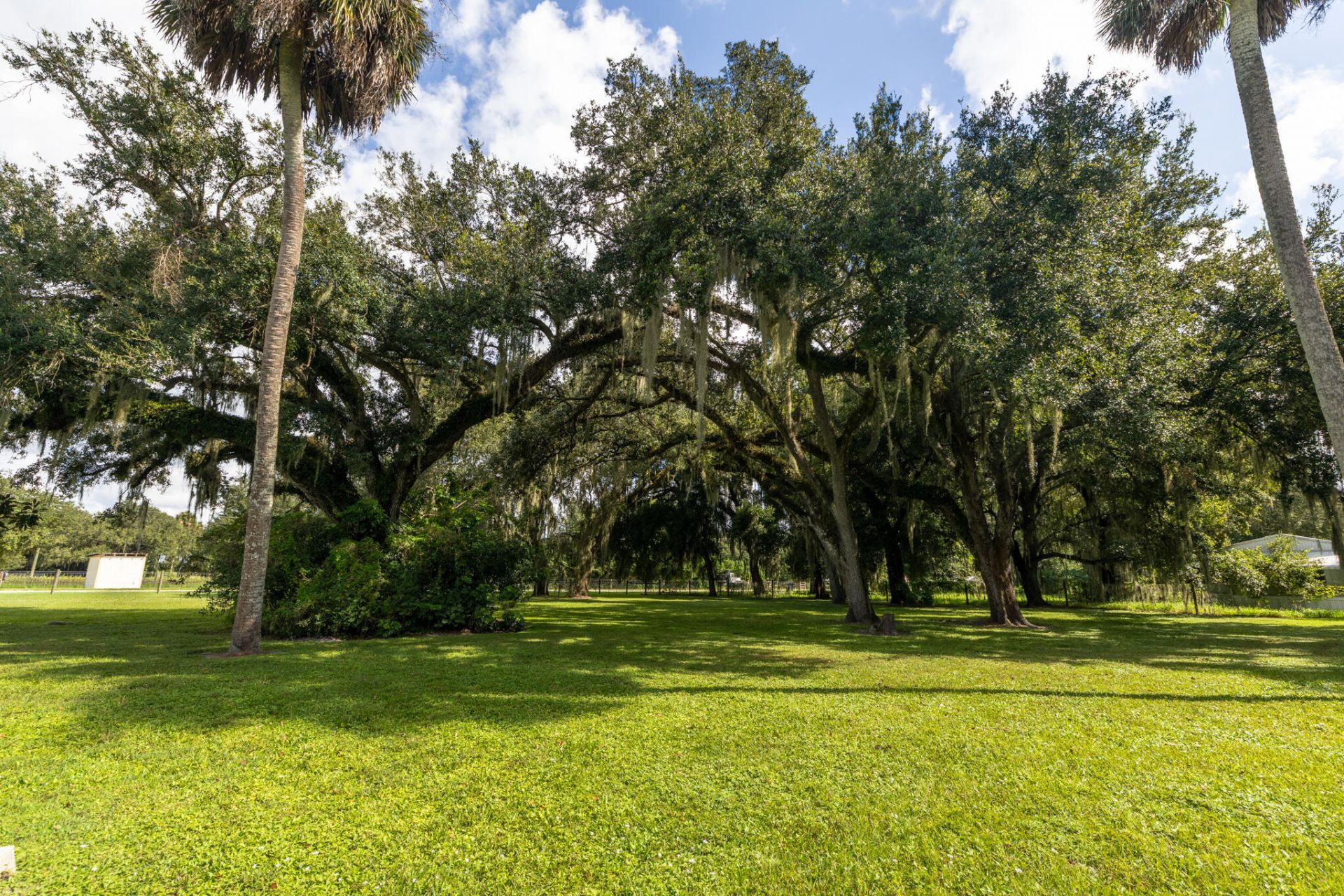 125 Tut N Lue Road, Lorida, FL 33857 Photo