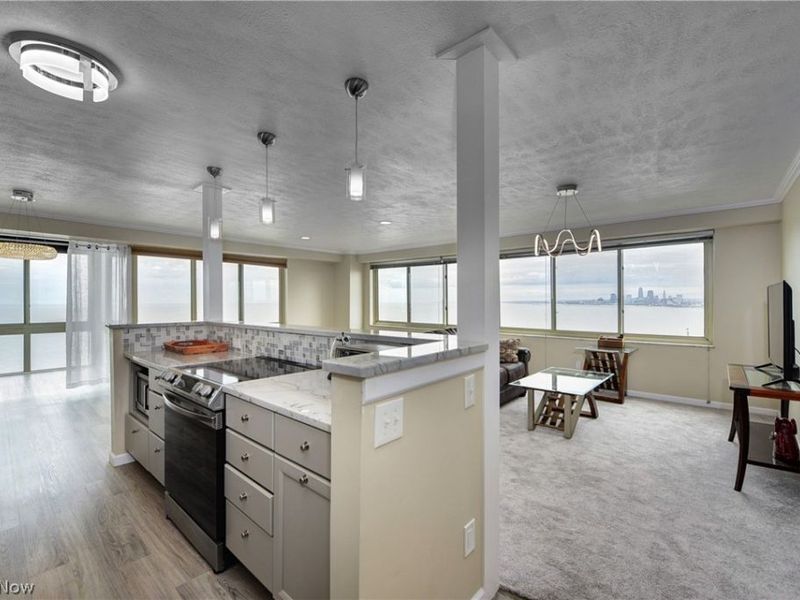 12520 Edgewater Drive , Unit 1506, Lakewood, OH 44107 Photo 4