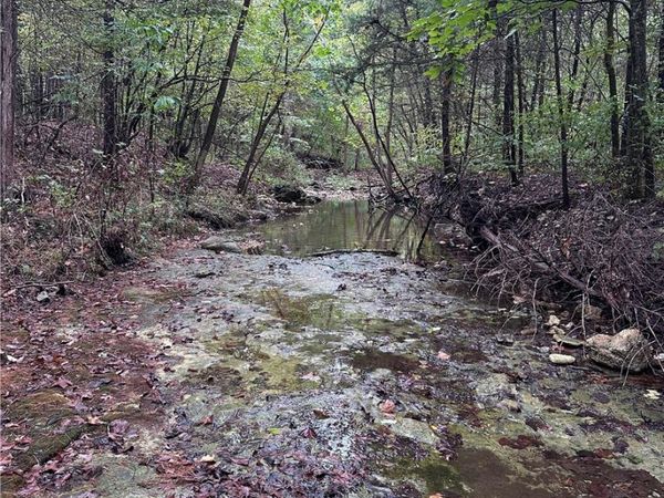 80.80 Acres Hwy 221 South , Berryville, AR 72616