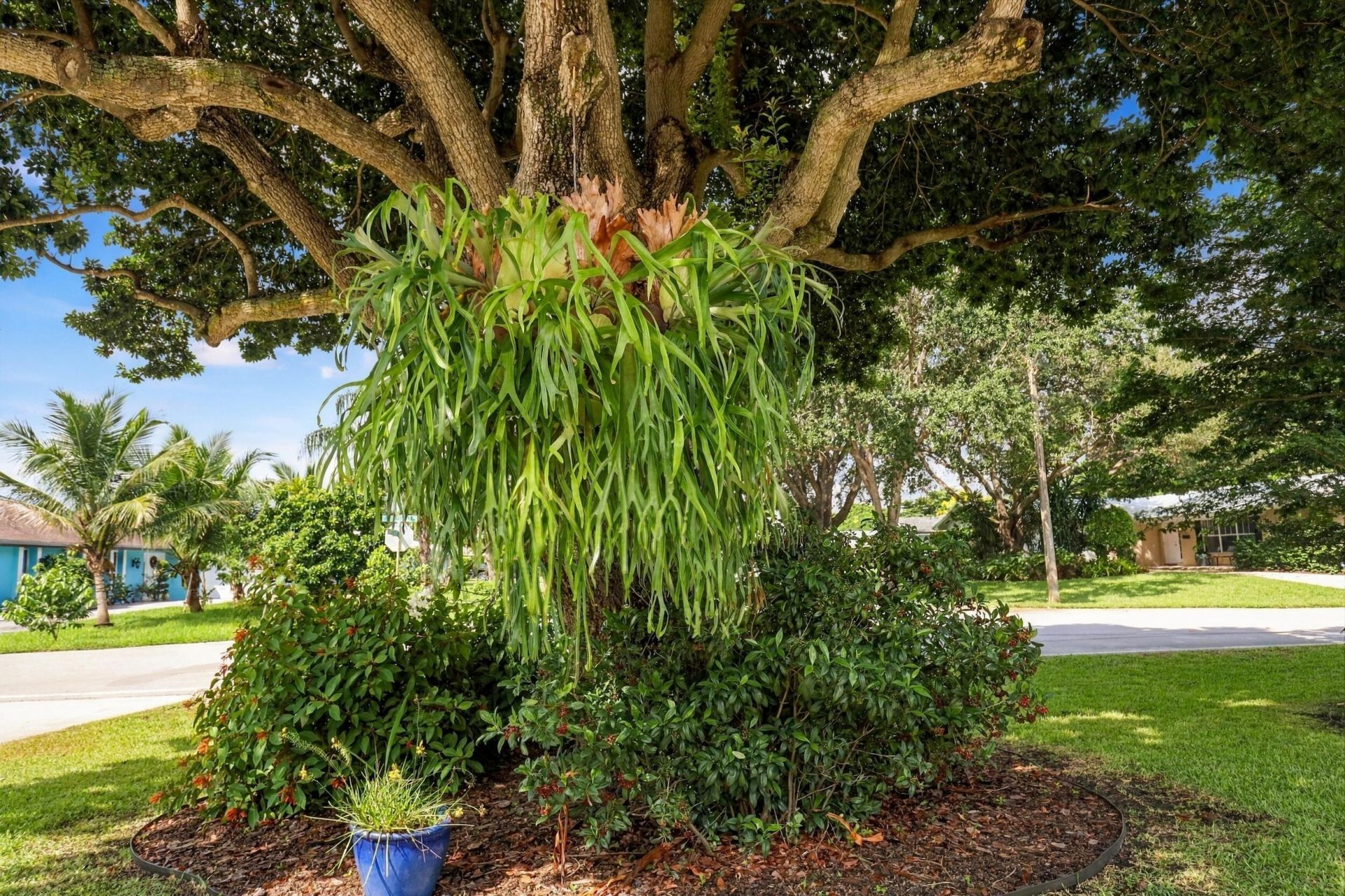 9714 Honeysuckle Avenue, Palm Beach Gardens, FL 33410 Photo