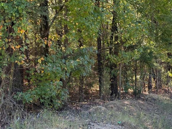 778 Greene Road , Paragould, AR 72450