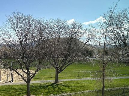 5020 Tahiti Way, Unit 4, Reno, NV 89502 Photo