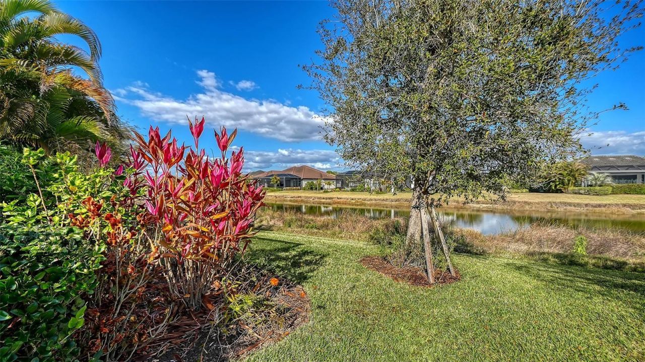 12028 Legacy Estates Boulevard, Sarasota, FL 34238 Photo