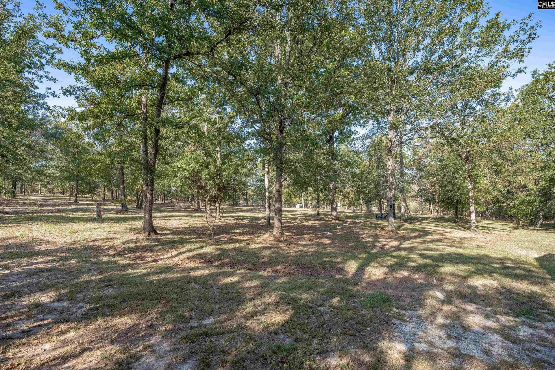 230 Mountain View Road Photo 10