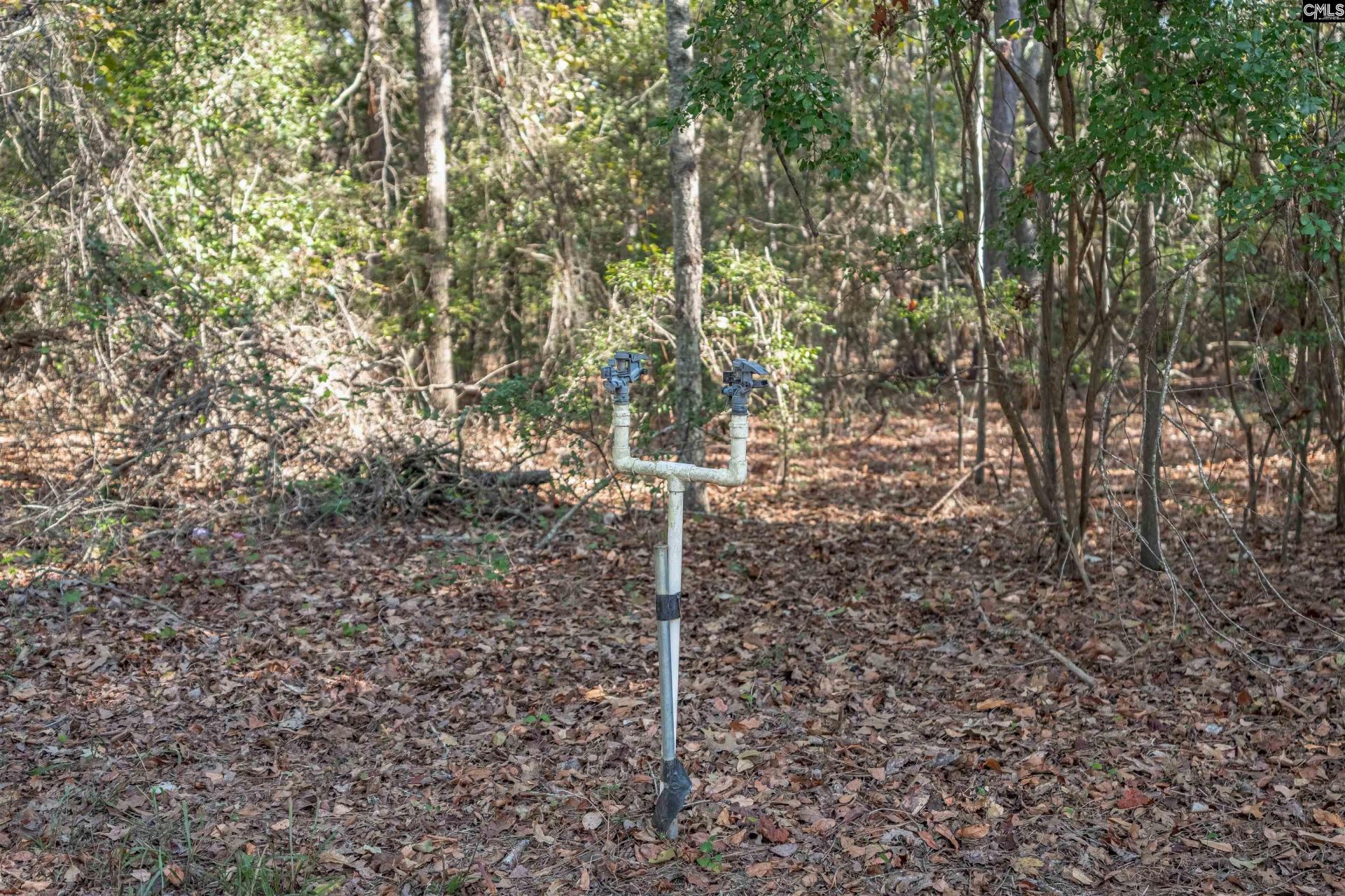 230 Mountain View Road Photo 20