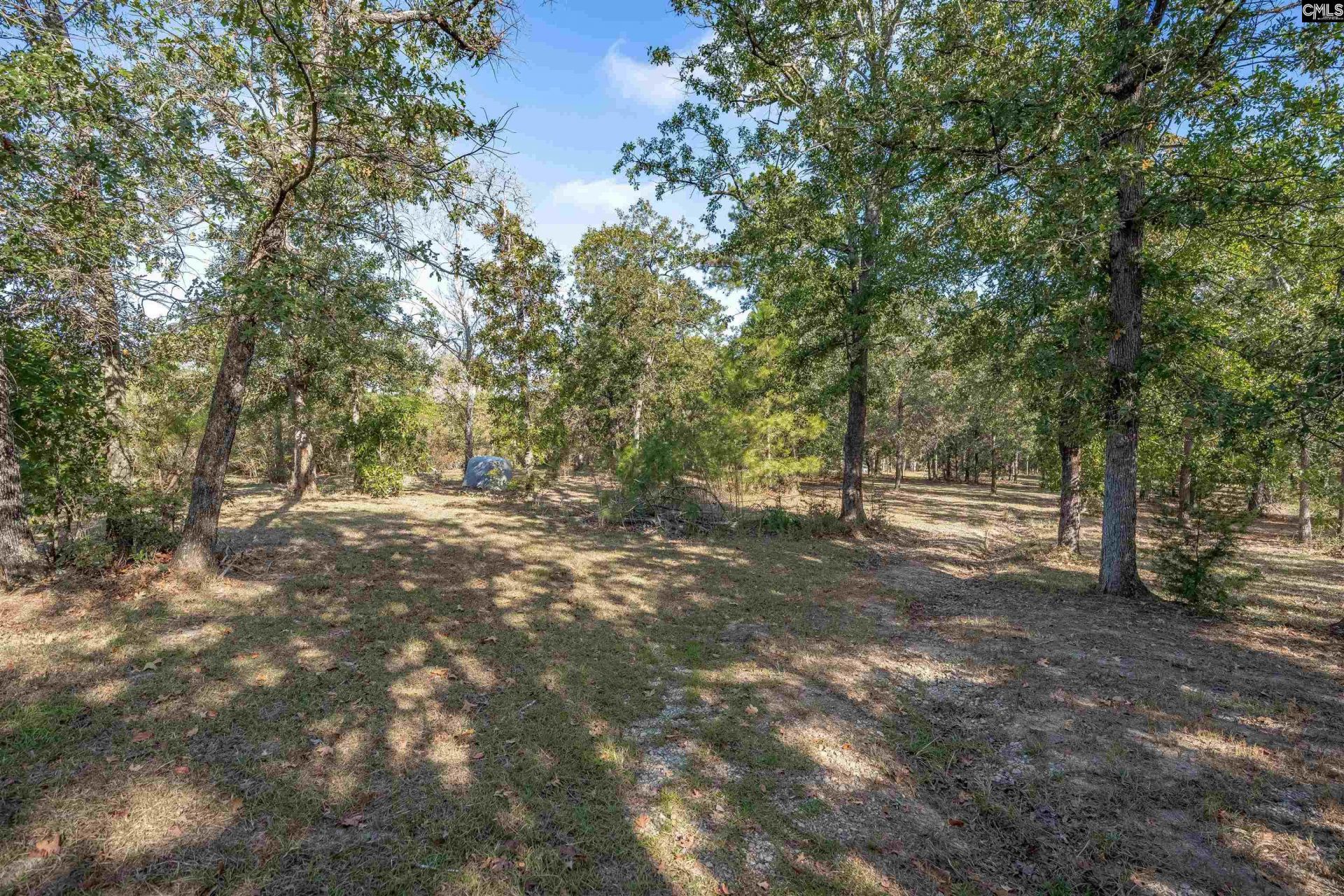 230 Mountain View Road Photo 29
