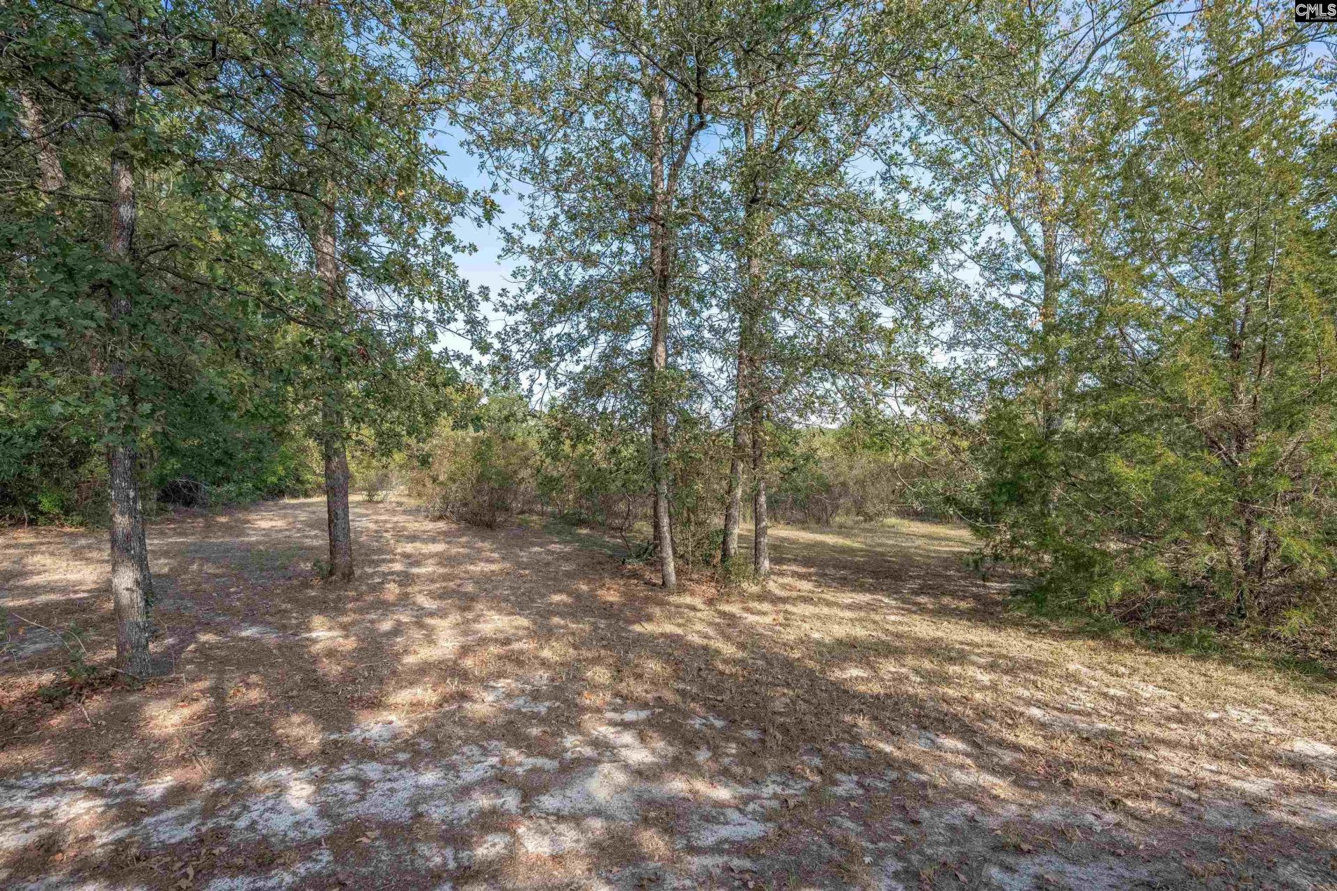 230 Mountain View Road Photo 3