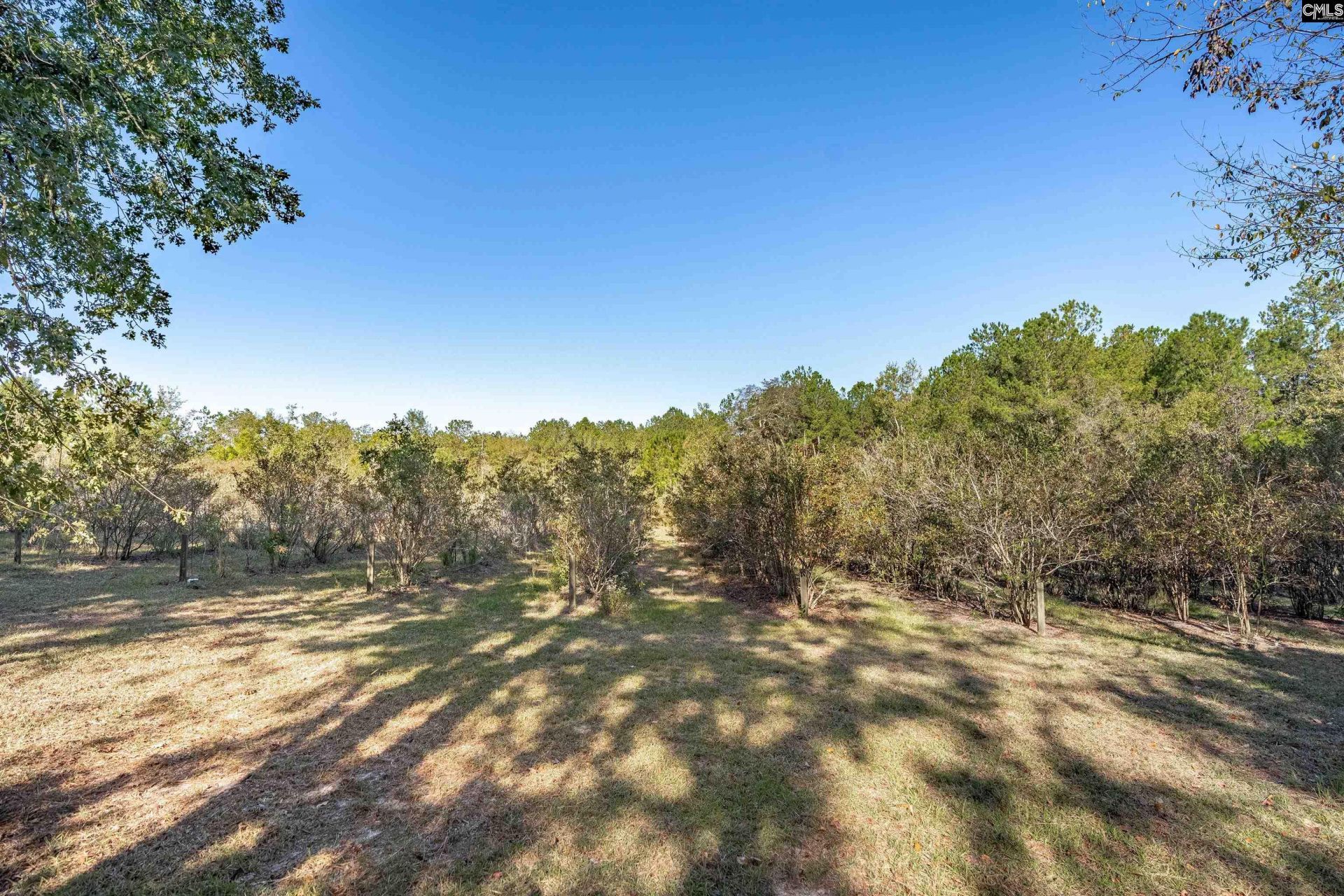 230 Mountain View Road Photo 5