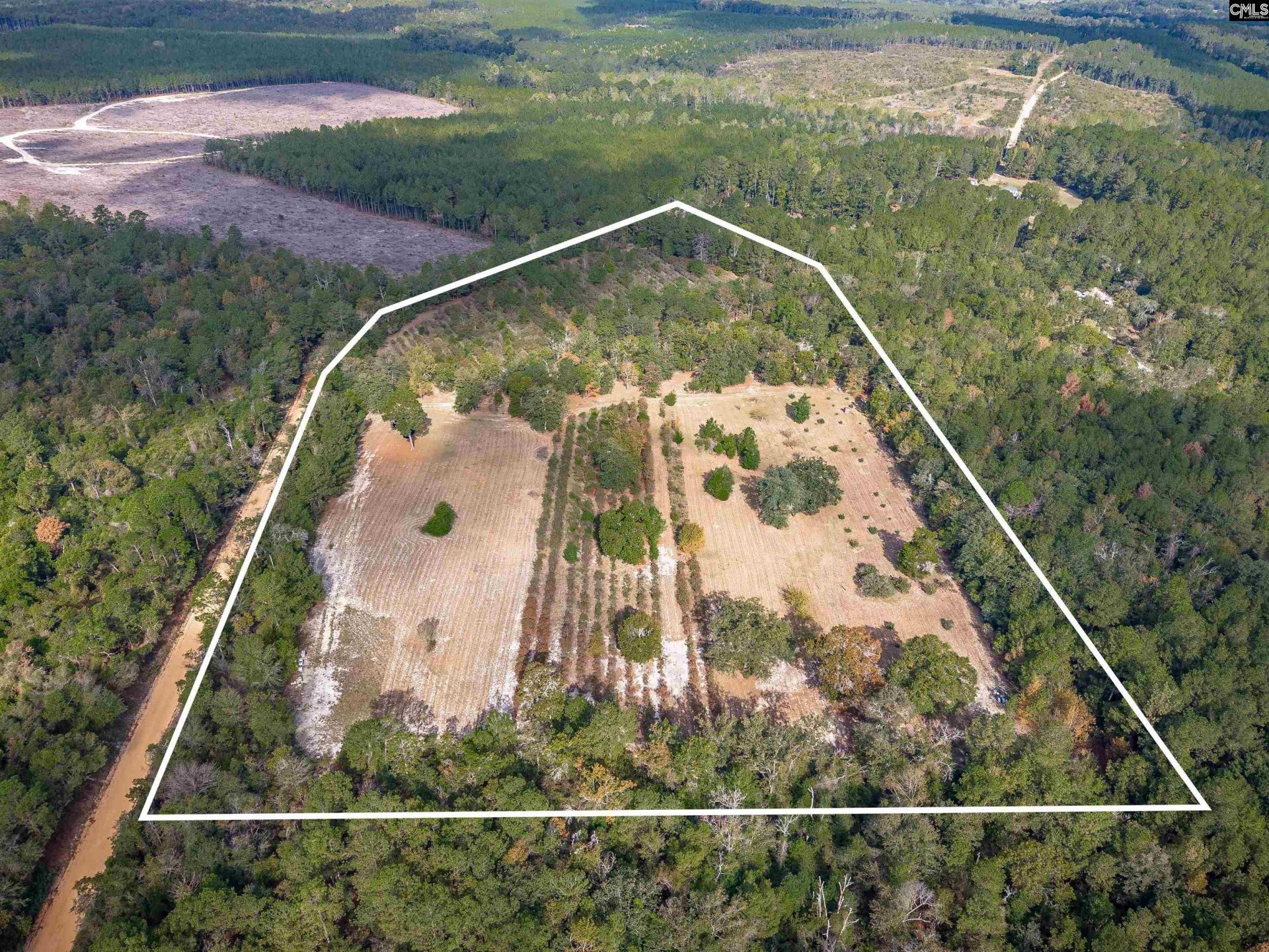 230 Mountain View Road Photo 6