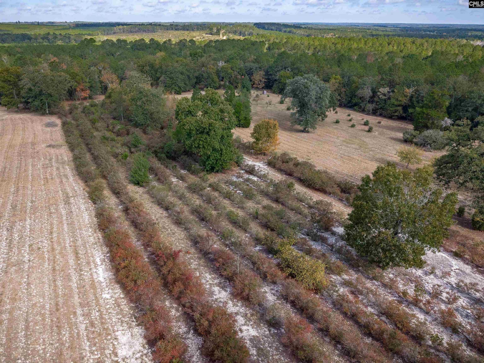 230 Mountain View Road Photo 8