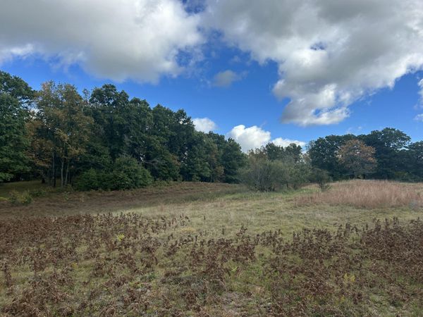 9177 S Bonney Road, Chase, MI 49623