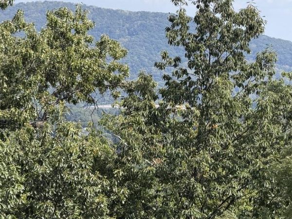 2428 Coachman DR, Roanoke, VA 24012