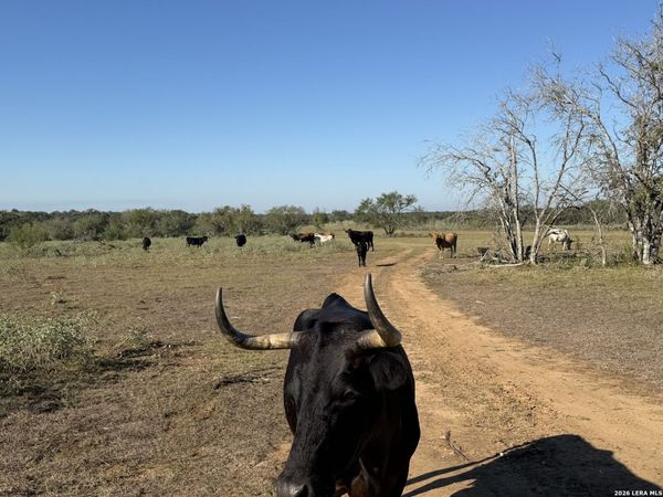 3841 County Road 427, Stockdale, TX 78160