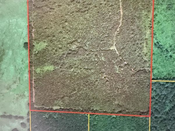 TBD Bluff Springs , Mineral Sprs., AR 71851