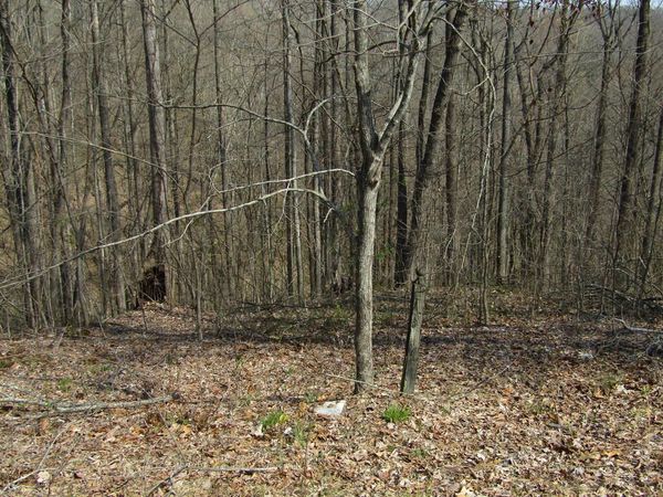 Lot 28 Hunters S Landing Lane, Smithville, TN 37166