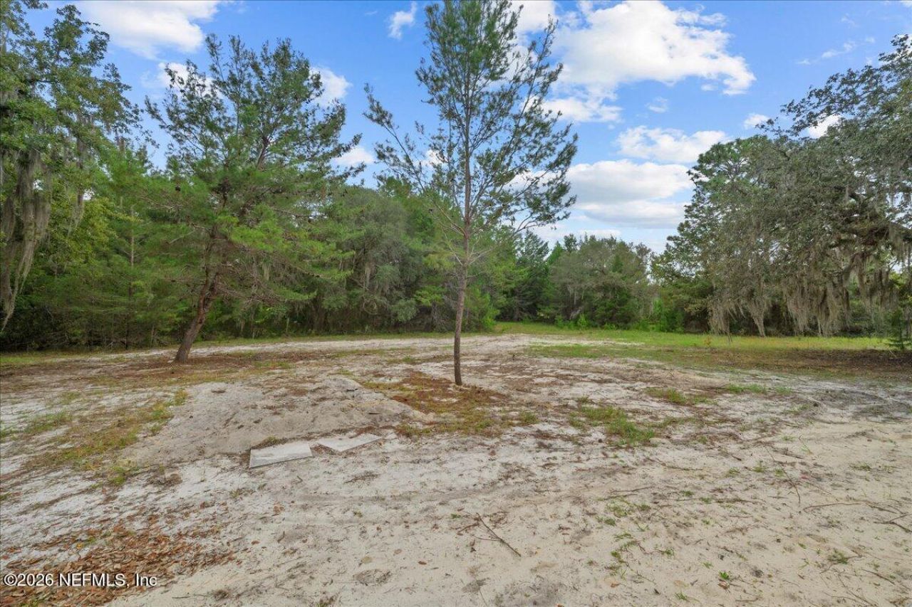 268 Beulah Church Road, Welaka, FL 32193 Photo