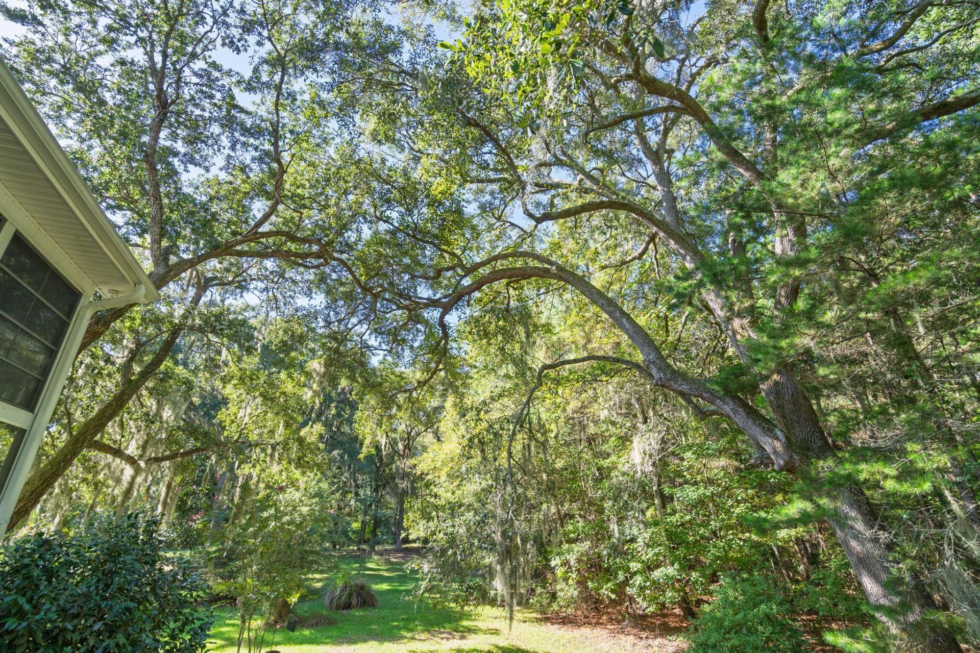 7909 Edingsville Beach Road Photo 50