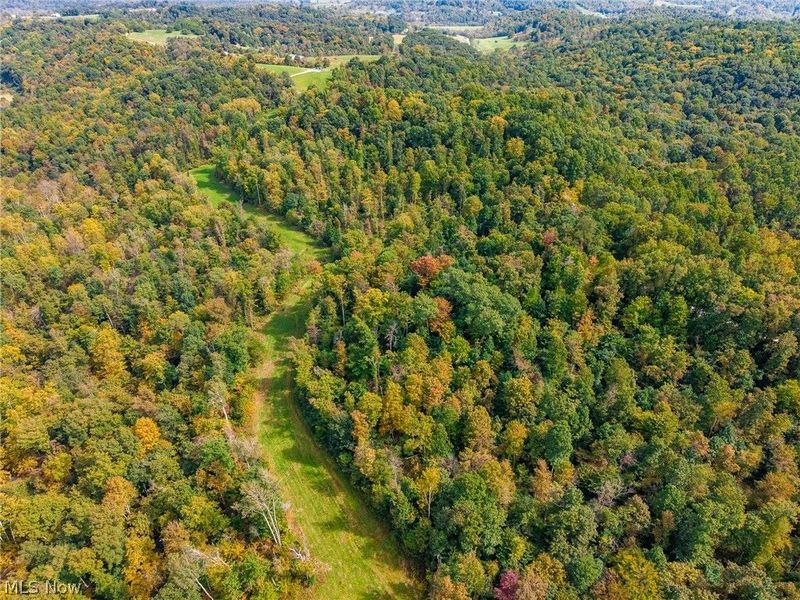 Lew Marten Road, Summerfield, OH 43788 Photo 1