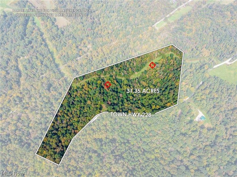 Lew Marten Road, Summerfield, OH 43788 Photo 10