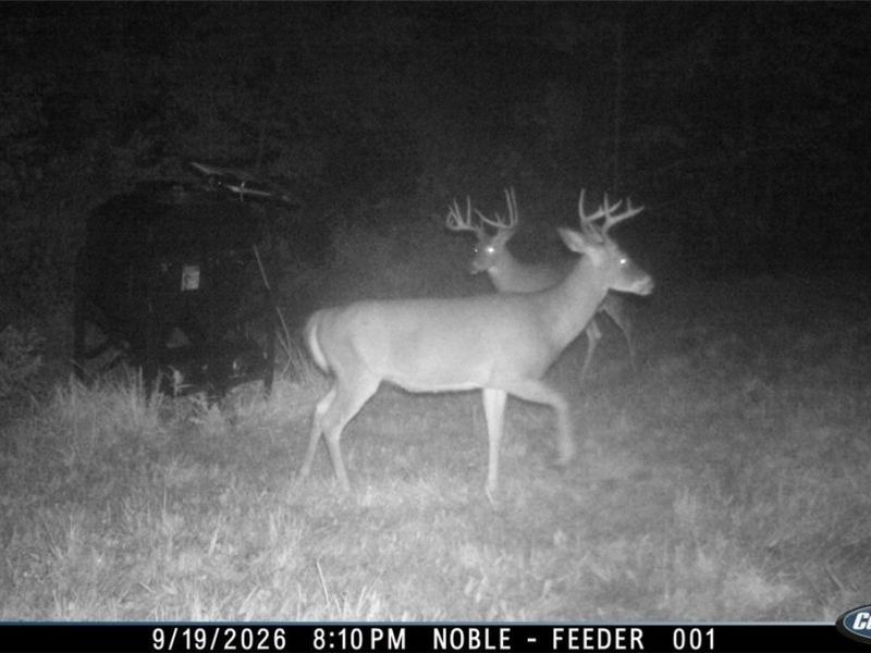 Lew Marten Road, Summerfield, OH 43788 Photo 12