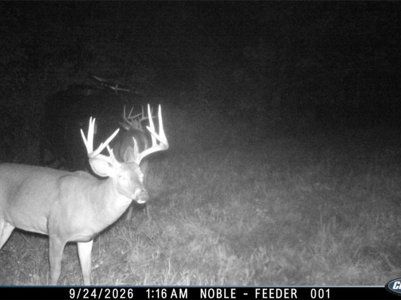 Lew Marten Road, Summerfield, OH 43788 Photo 13