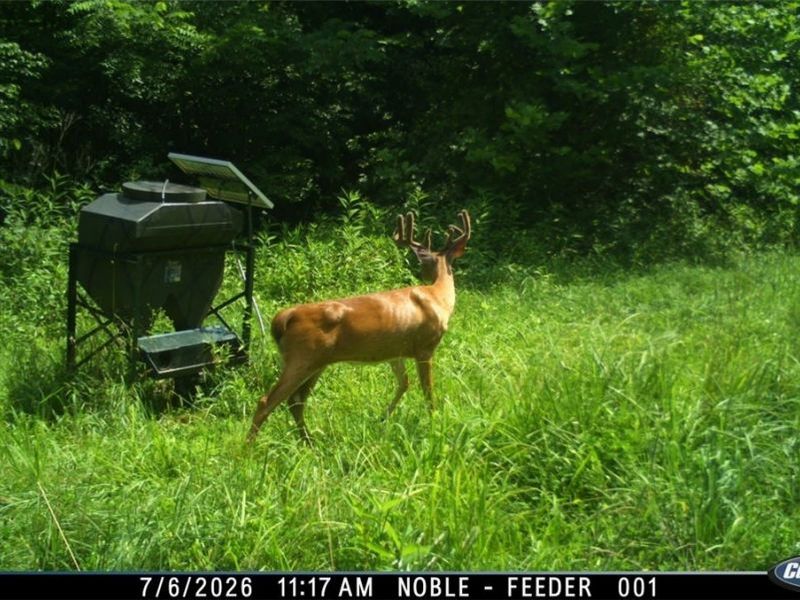 Lew Marten Road, Summerfield, OH 43788 Photo 16