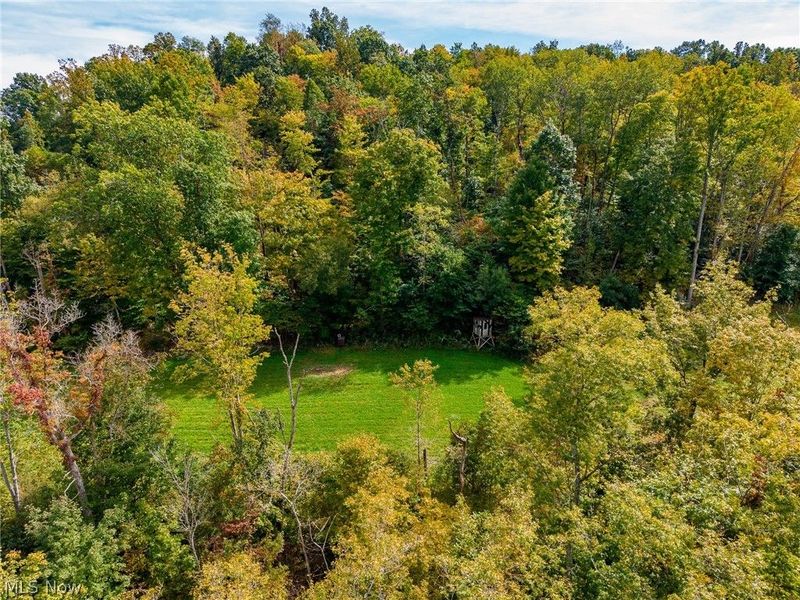 Lew Marten Road, Summerfield, OH 43788 Photo 21