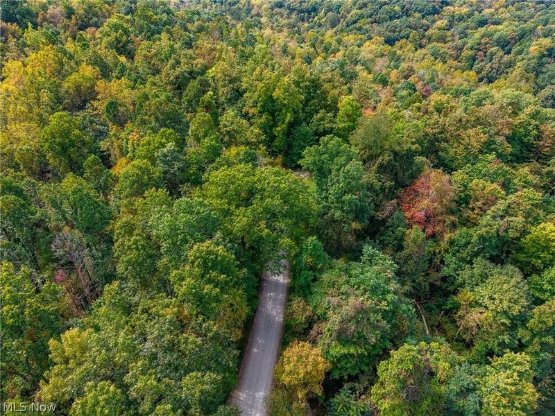Lew Marten Road, Summerfield, OH 43788 Photo 22