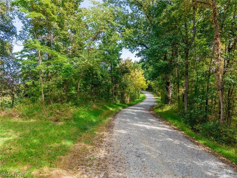 Lew Marten Road, Summerfield, OH 43788 Photo 26