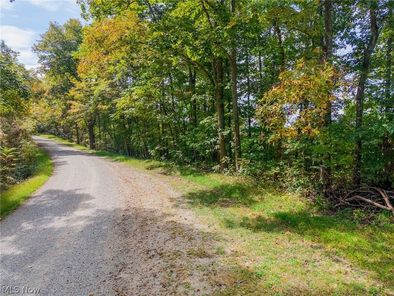 Lew Marten Road, Summerfield, OH 43788 Photo 27
