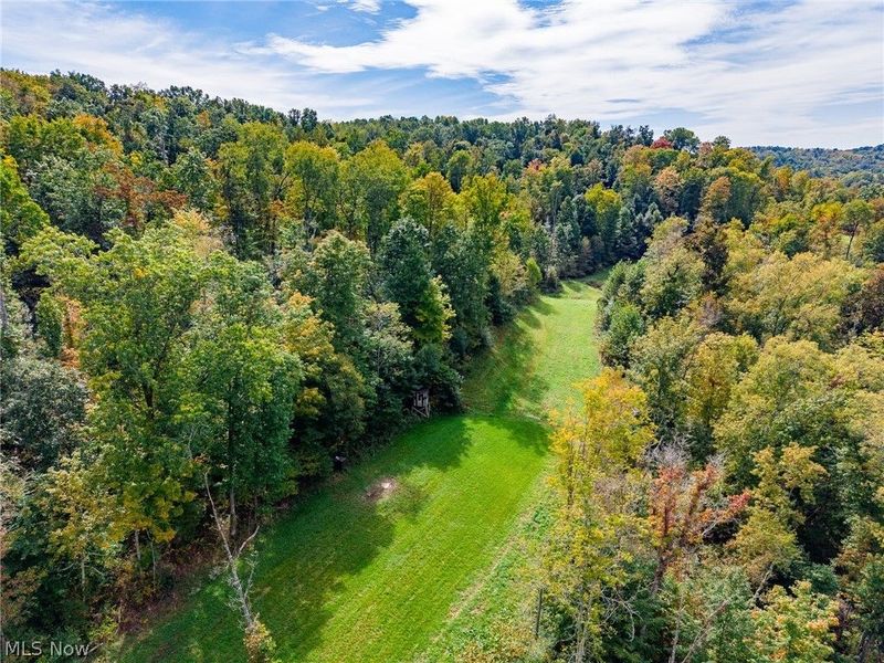 Lew Marten Road, Summerfield, OH 43788 Photo 3