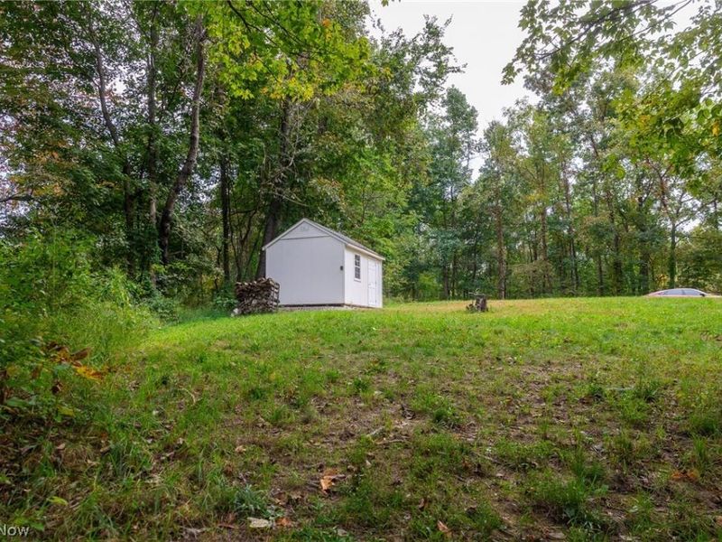 Lew Marten Road, Summerfield, OH 43788 Photo 30