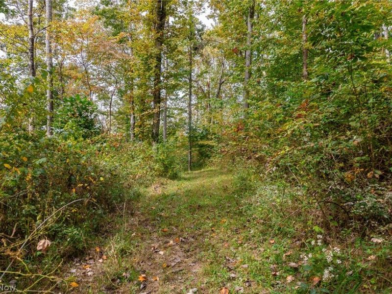 Lew Marten Road, Summerfield, OH 43788 Photo 34