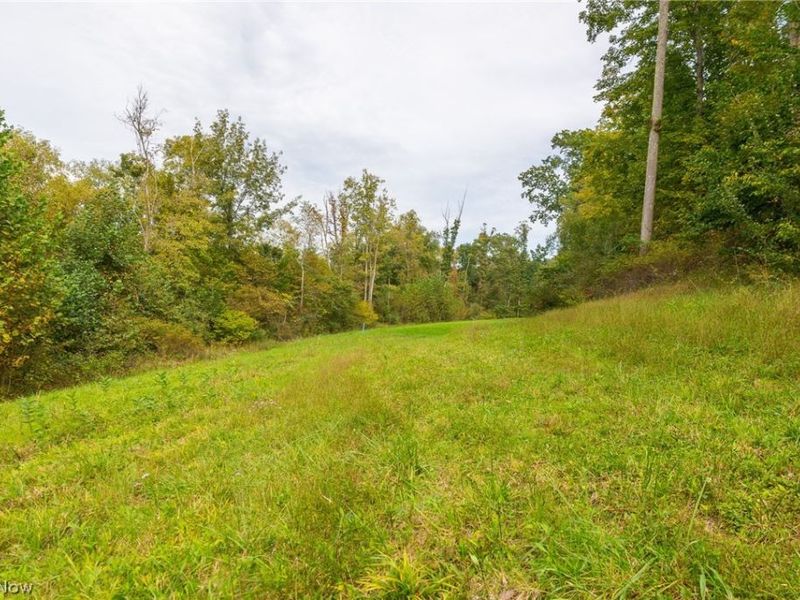 Lew Marten Road, Summerfield, OH 43788 Photo 35