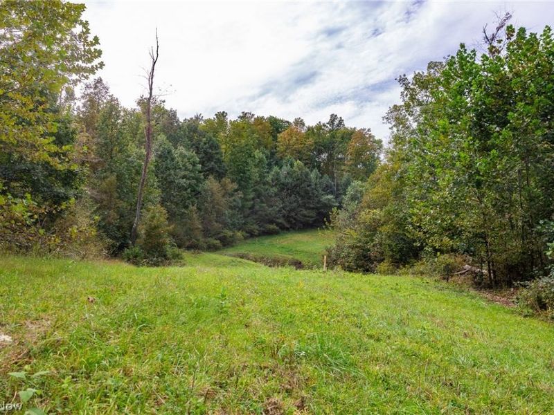 Lew Marten Road, Summerfield, OH 43788 Photo 36