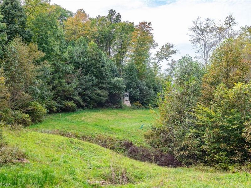 Lew Marten Road, Summerfield, OH 43788 Photo 37
