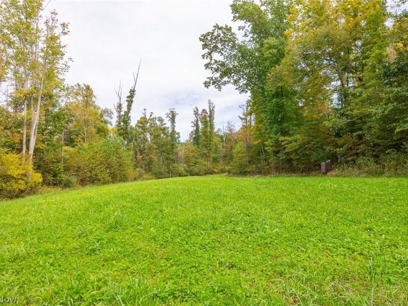 Lew Marten Road, Summerfield, OH 43788 Photo 38