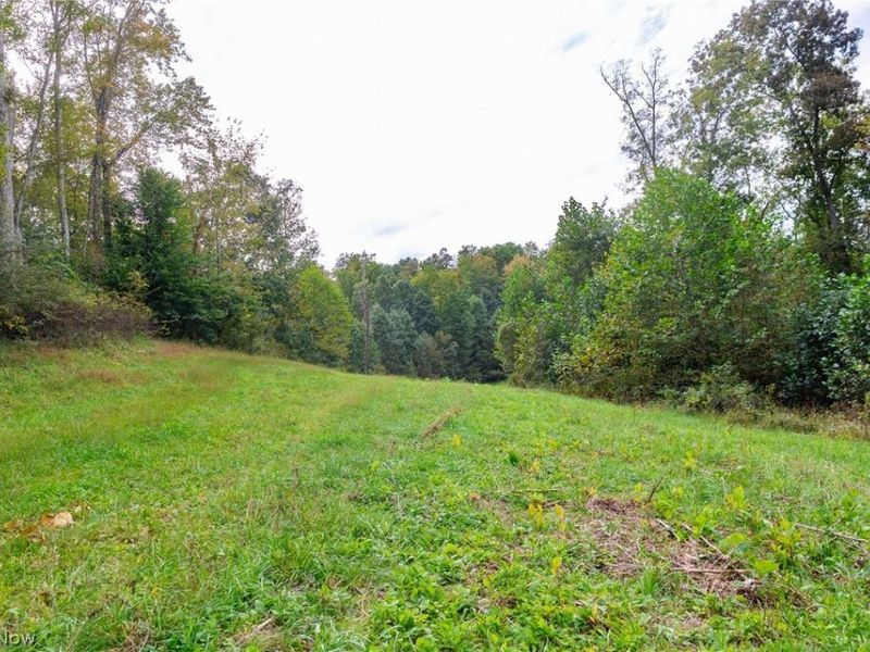 Lew Marten Road, Summerfield, OH 43788 Photo 39