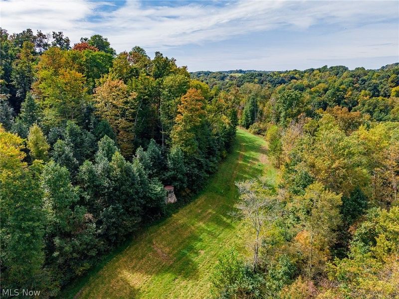 Lew Marten Road, Summerfield, OH 43788 Photo 4