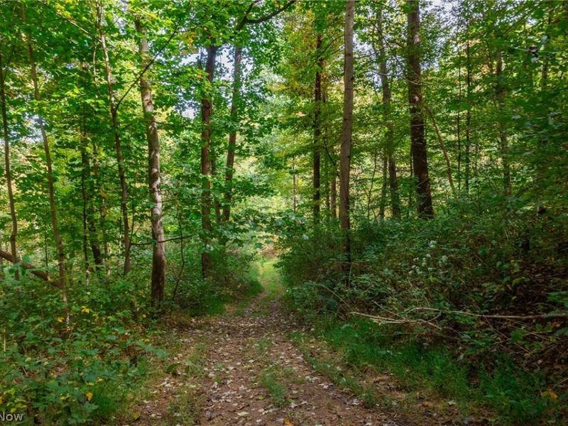 Lew Marten Road, Summerfield, OH 43788 Photo 40